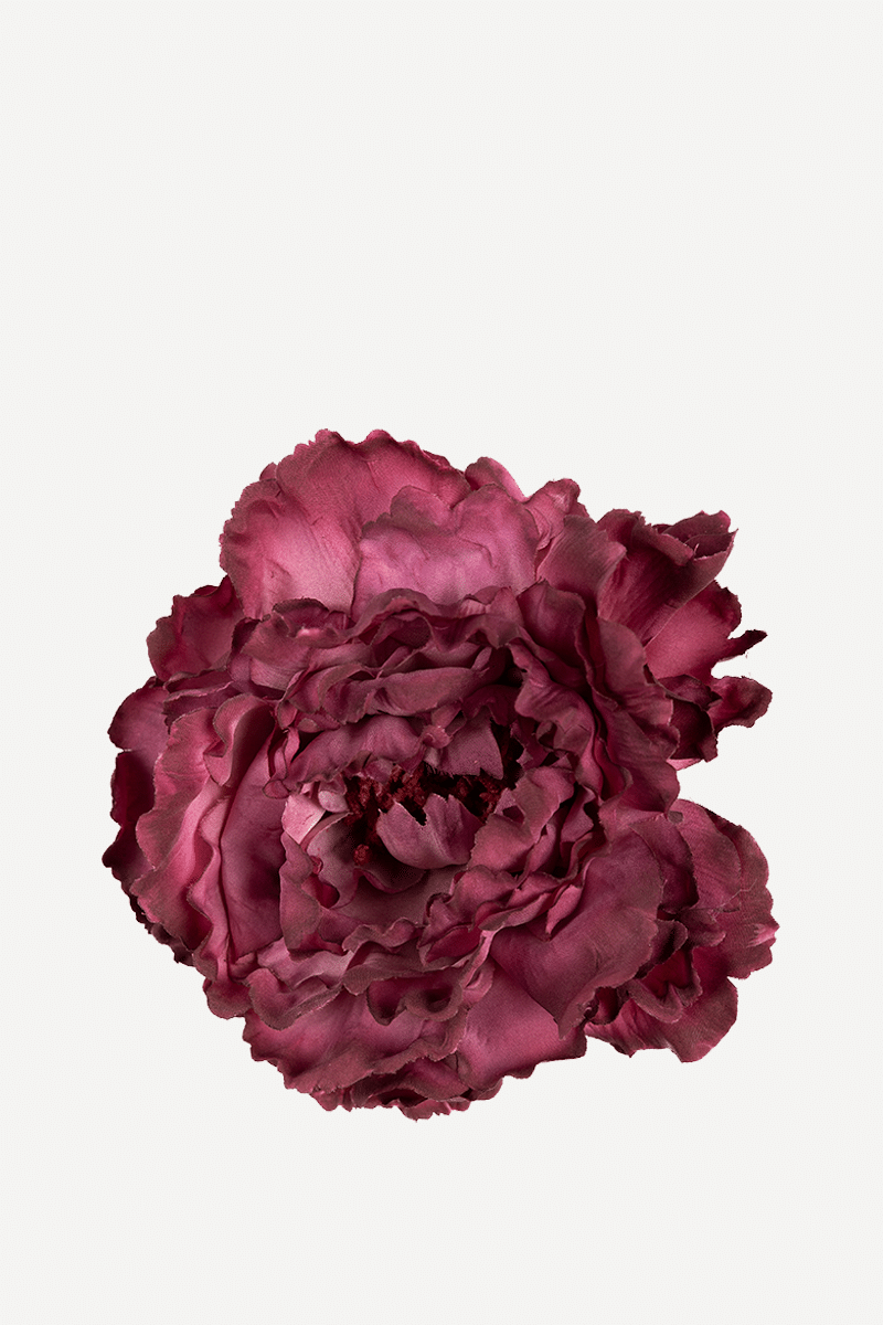 FLOR EDITADO 20