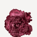 FLOR EDITADO 20