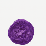 FLOR EVORA FN08