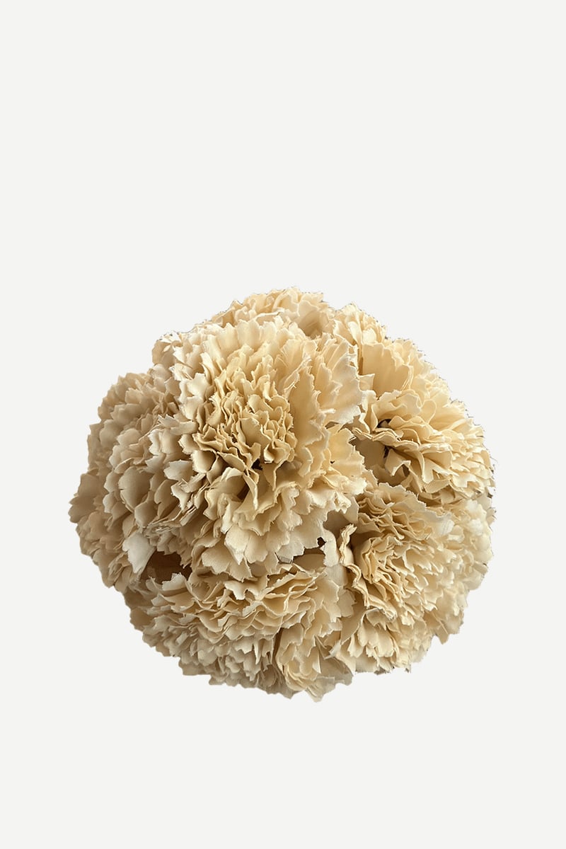 FLOR F02