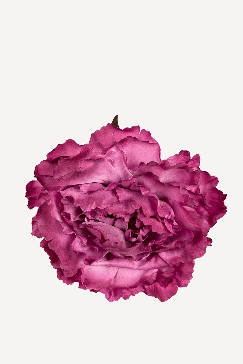 FLOR PEONIA GRANDE 23 EDITADA 10T-99