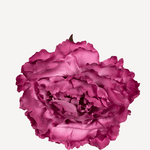 FLOR PEONIA GRANDE 23 EDITADA 10T-99