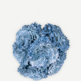 Flor Clavel De 6 64T- 248