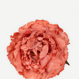 Flor Peonía Grande 10T-260