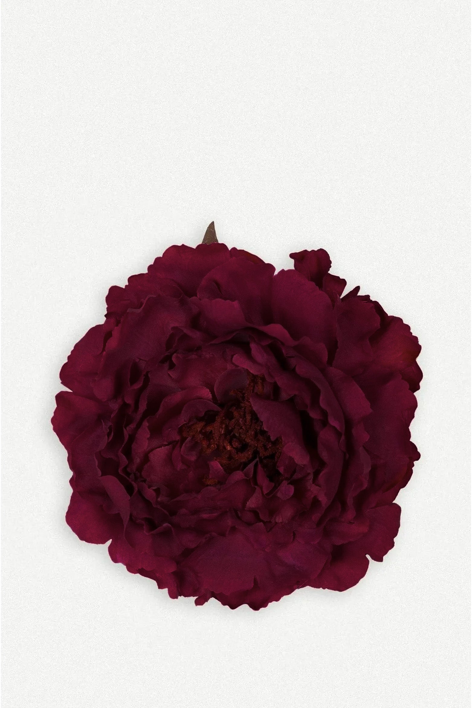 Flor Peonía Grande 10T-256-The Nook Store