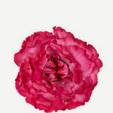 Fleur de pivoine FP11