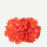 Double Carnation Flower F2C10