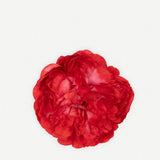 Flor Peonía Rizada Pequeña 160T-03