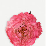 Large Peony Flower 10T-131