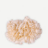 Flor Clavel Doble 24T2-18-The Nook Store