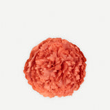 Flor Clavelón 168T-260