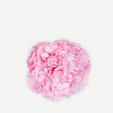 Small Peony Flower 170T-18