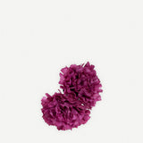 Fleur d'œillet 2 21T2-03