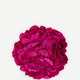 Pivoine moyenne 17T-270