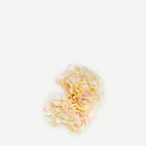Carnation Flower 2 21T2- 01
