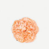 Flor Clavelón Mini 169T-77