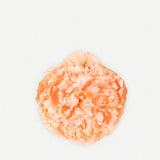 Small Peony Flower 170T-18