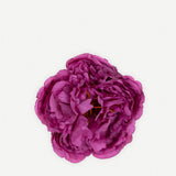 Flor Peonía Rizada Pequeña 160T-269