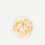 Small Peony Flower 170T-18