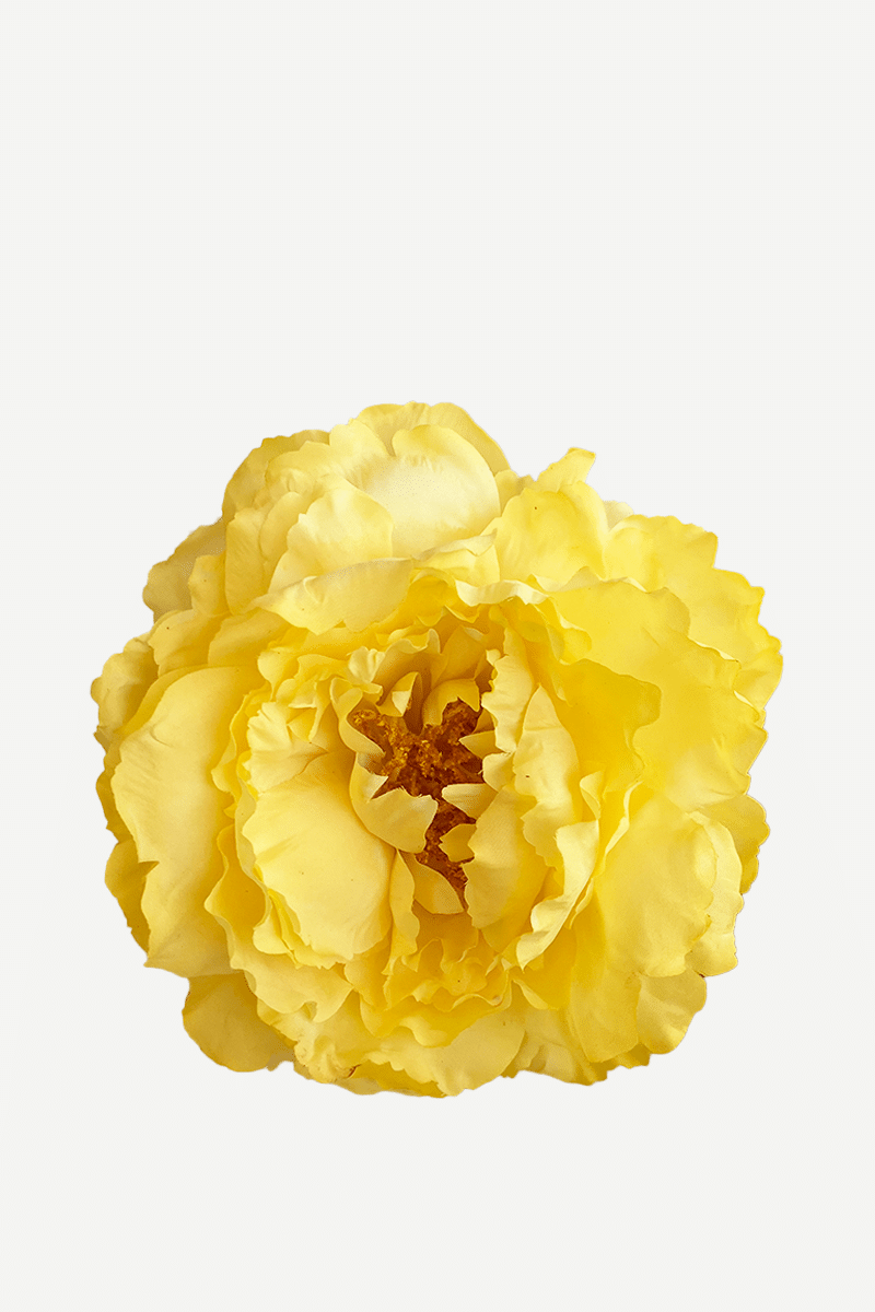 FP04