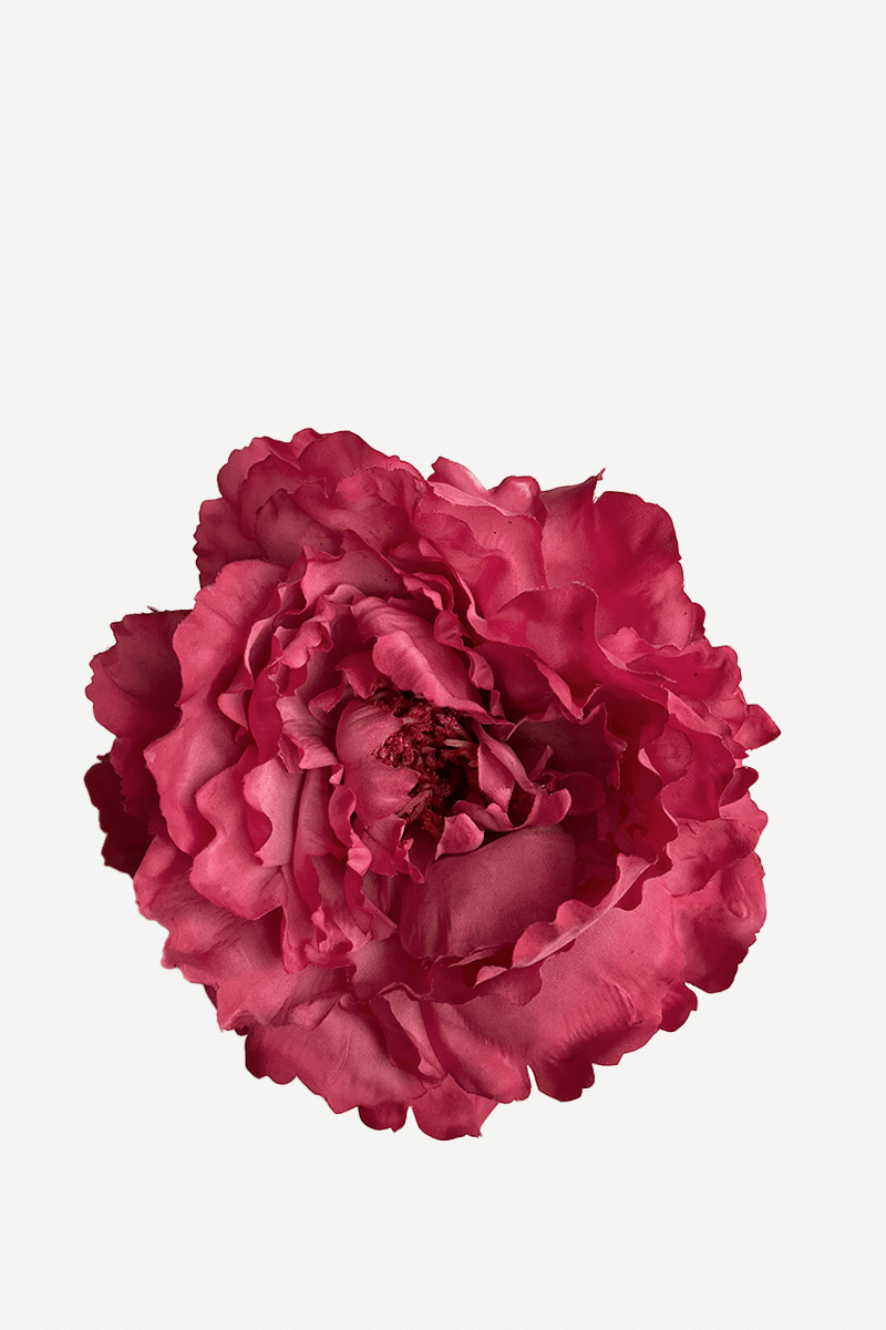 FP13