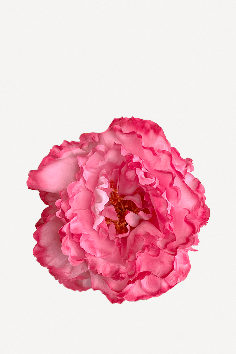 FP17