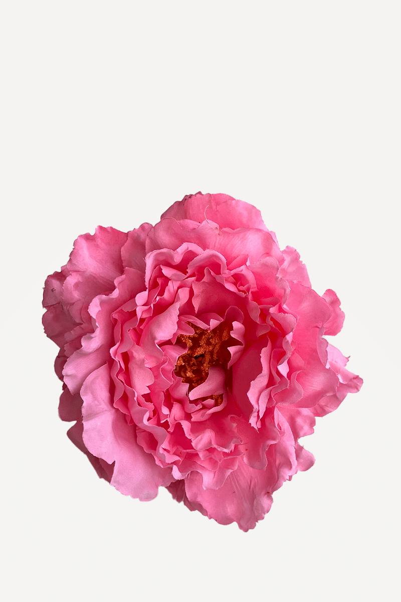FP18
