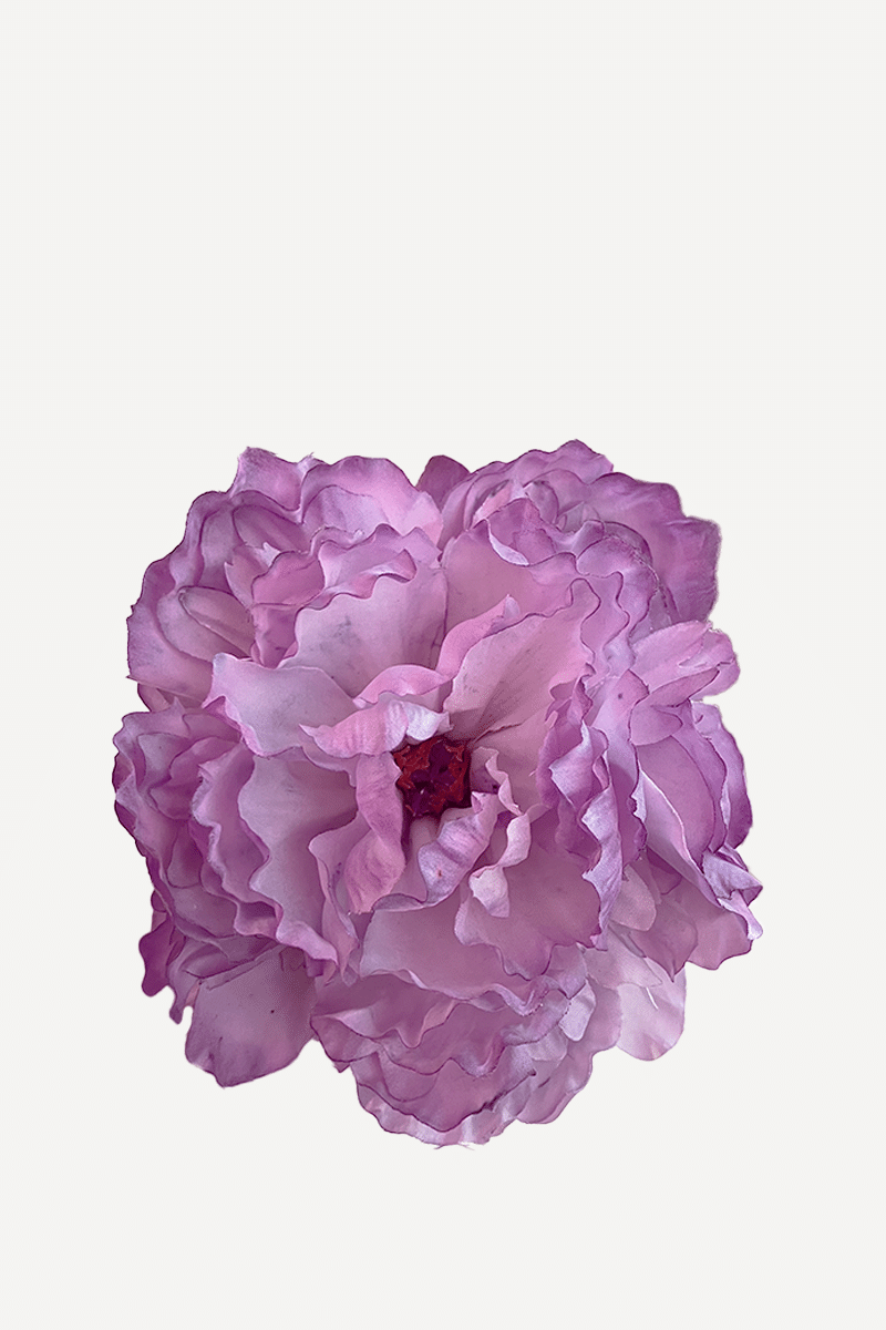 FP19