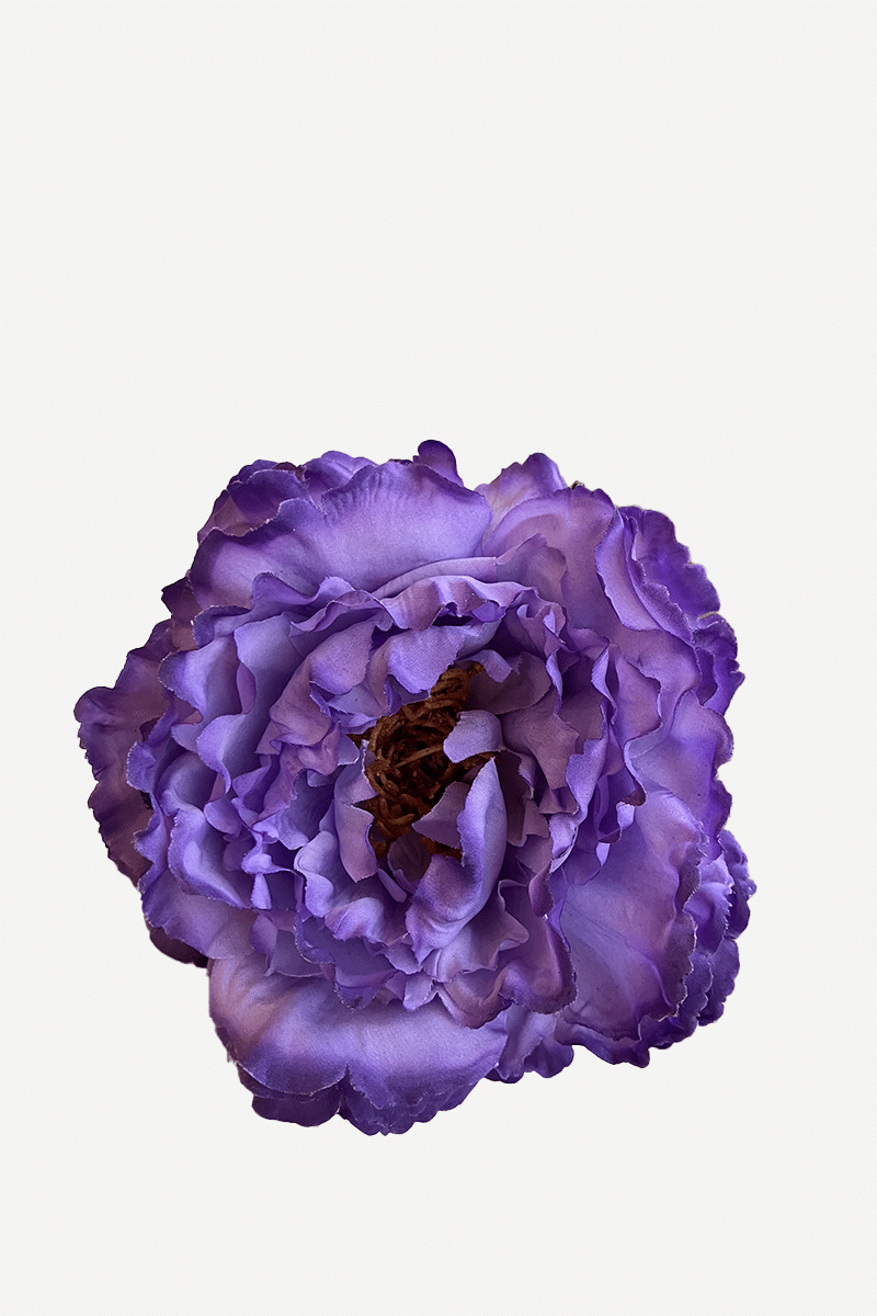 FP23