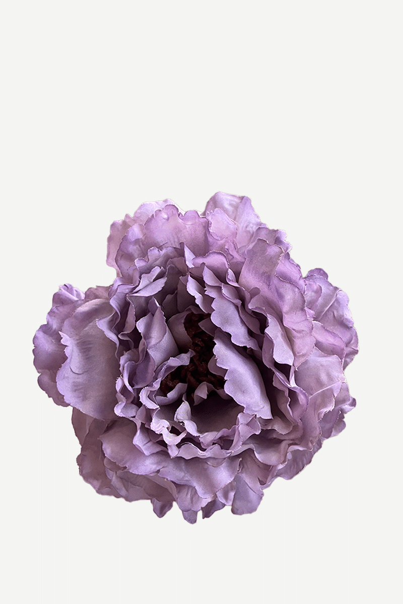 FP26