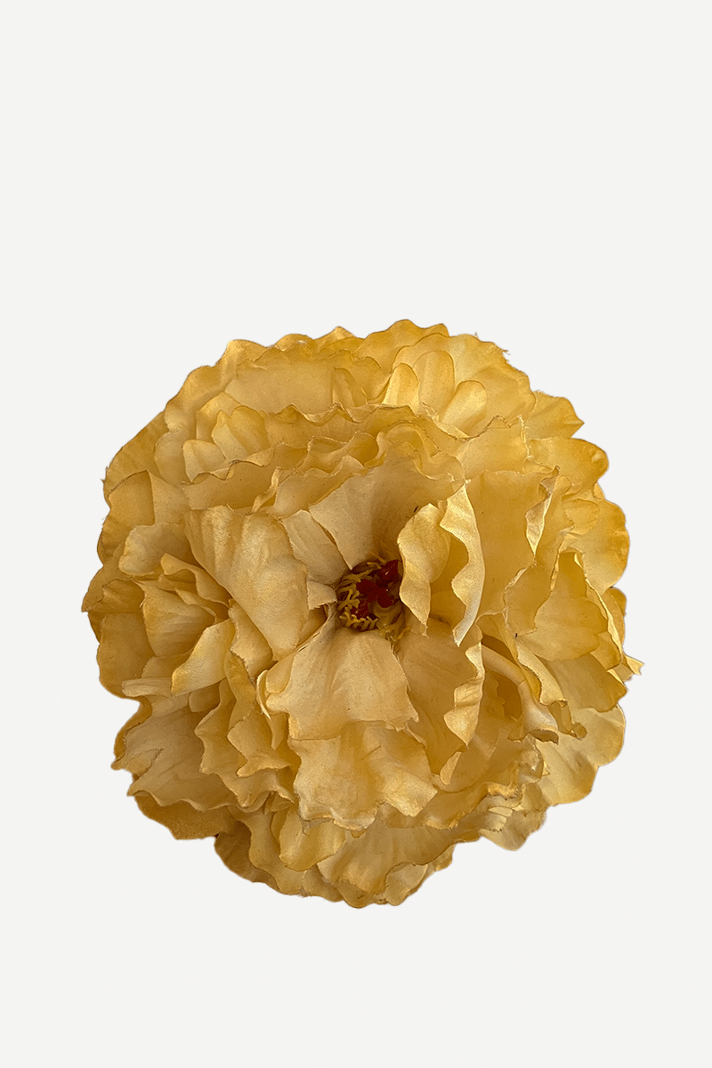 FP42