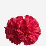Flor Clavel Doble F2C01 (1)