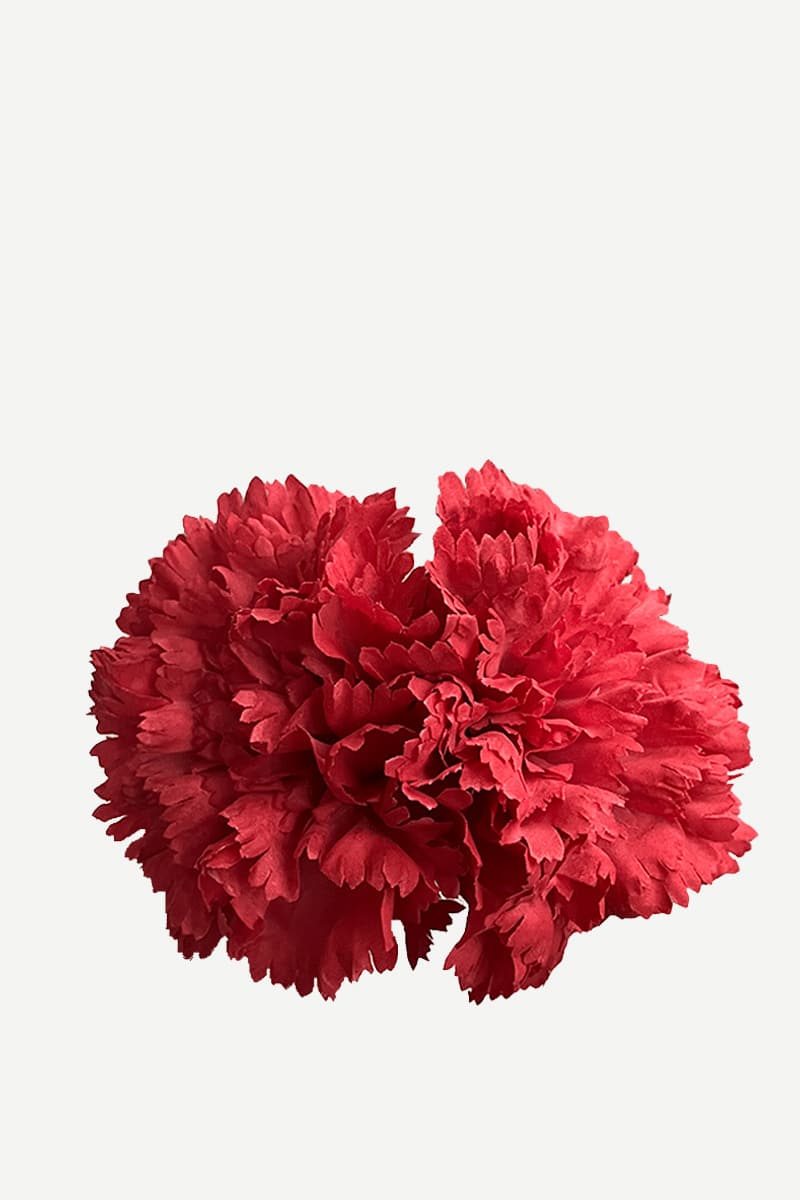 Flor Clavel Doble F2C04