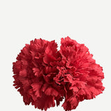Flor Clavel Doble F2C04