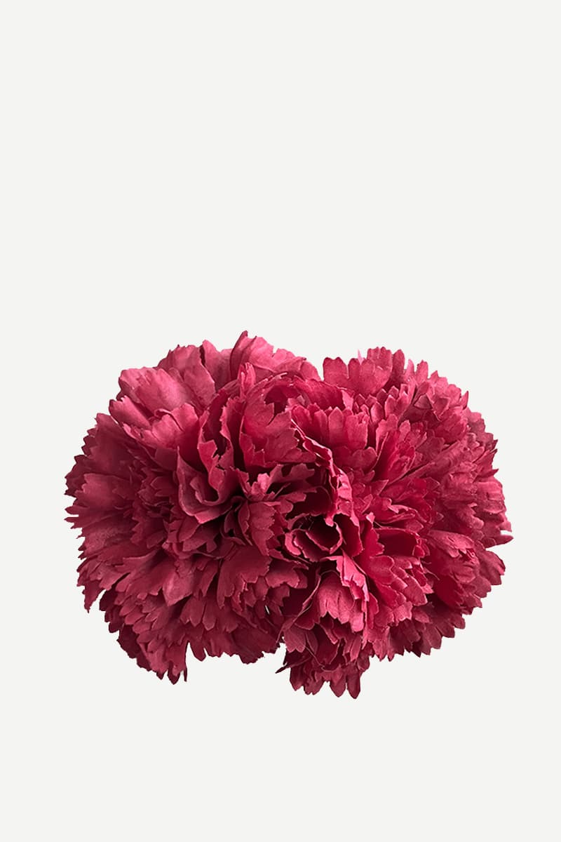 Flor Clavel doble F2C05