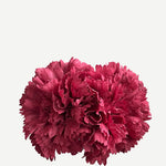 Flor Clavel doble F2C05