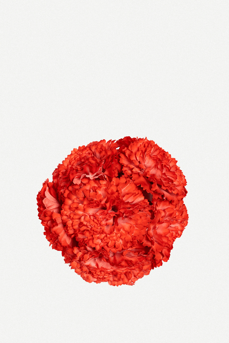 Flor Peonía Mediana 17T-256 (10)