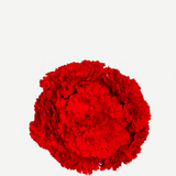 Flor Peonía Mediana 17T-256 (12)