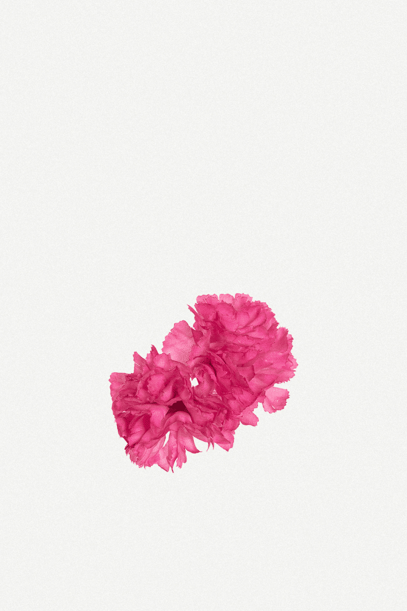 Flor Peonía Mediana 17T-256 (3)