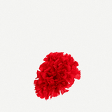 Flor Peonía Mediana 17T-256 (4)