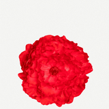 Flor Peonía Mediana 17T-256 (6)