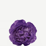 Flor Sinta F04