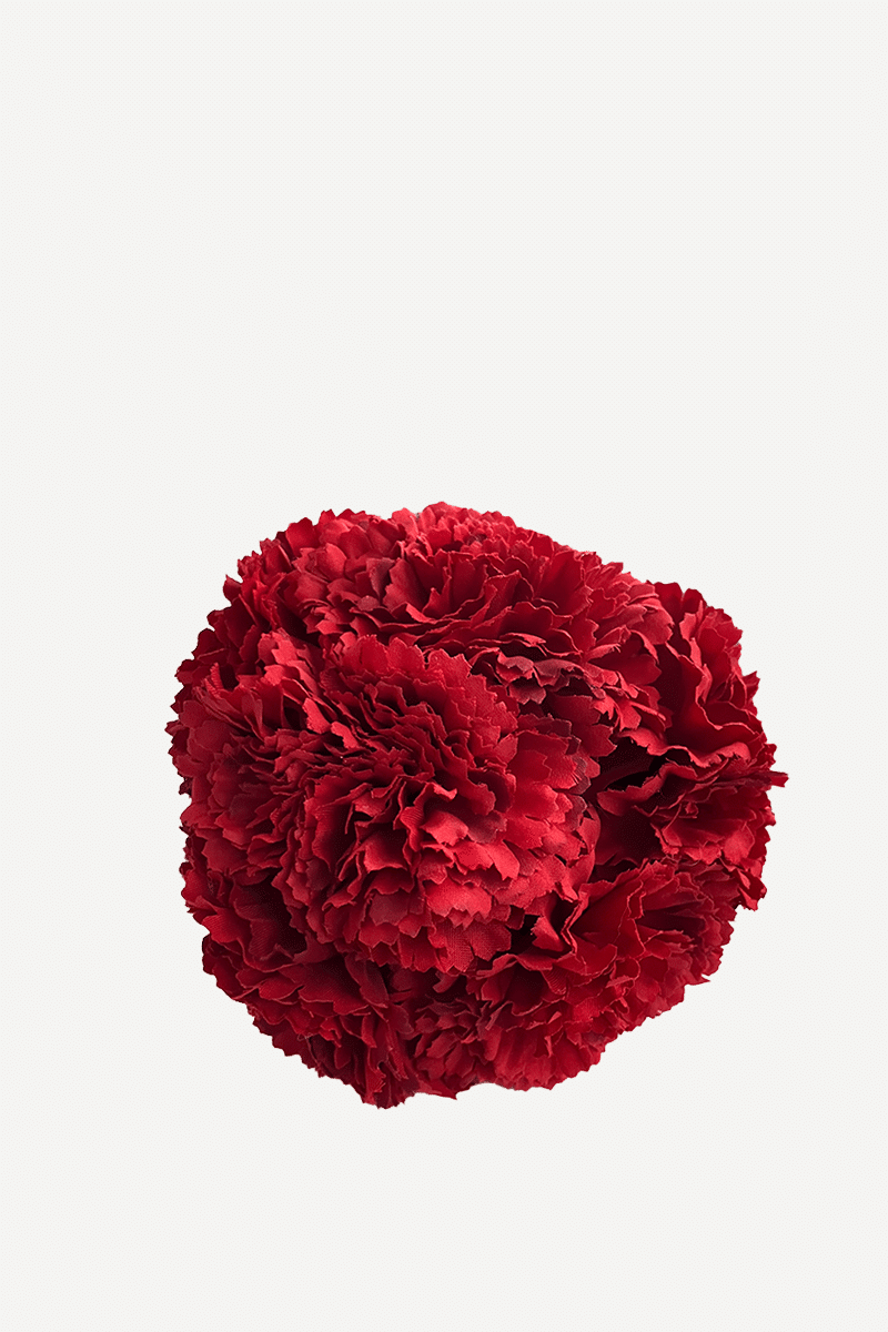 Flor clavel de 6 64T-Rojo P (final)