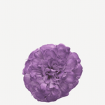 Flor evora 10