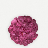 Flor evora FN19-The Nook Store