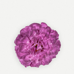 Flor sintra FN10-The Nook Store