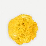 Flor Clavel C13-The Nook Store