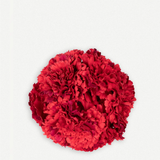 Flor Clavel De 6 64T- 155