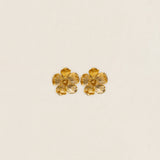 Palo Granada Grande Earrings PEN148