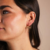 Aros Libélulas Circonitas PEN164 The Nook Store